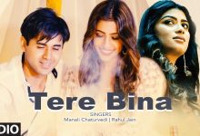 “Tere Bina” Lyrics Manali Chaturvedi, Rahul Jain - Wo Lyrics.jpg