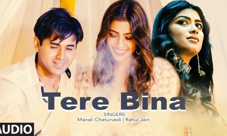 “Tere Bina” Lyrics Manali Chaturvedi, Rahul Jain - Wo Lyrics.jpg