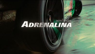 Adrenalina Lyrics Fred De Palma - Wo Lyrics