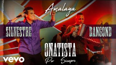 Amalaya Lyrics Silvestre Dangond - Wo Lyrics