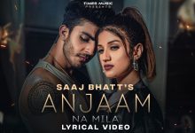 Anjaam Na Mila Lyrics Saaj Bhatt - Wo Lyrics