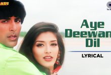 Aye Deewane Dil Kardi Kya Mushkil Lyrics Alka Yagnik, Kumar Sanu - Wo Lyrics