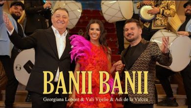 BANII BANII Lyrics Adi de la Valcea, Georgiana Lobont, Vali Vijelie - Wo Lyrics