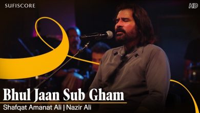 Bhul Jaan Sub Gham Lyrics Shafqat Amanat Ali - Wo Lyrics.jpg