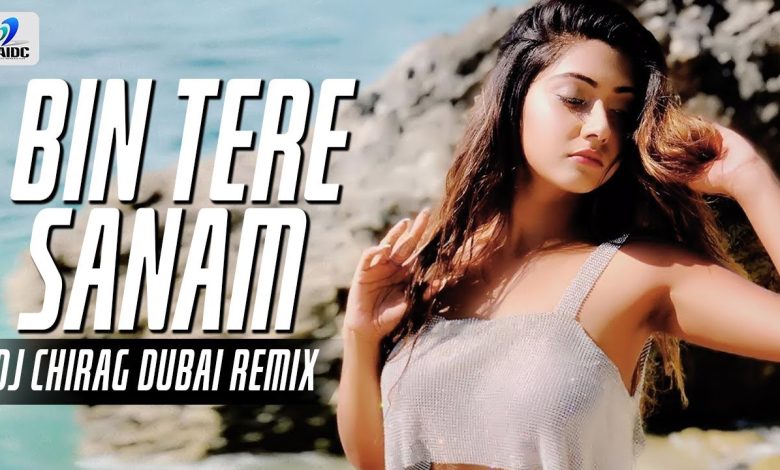 Bin Tere Sanam Remix Lyrics Kavita Krishnamurthy, Udit Narayan - Wo Lyrics.jpg