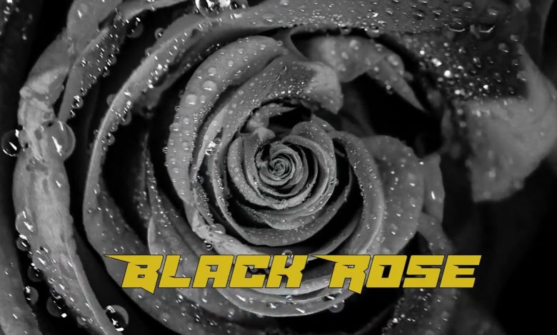 Black Rose Lyrics Stylish Singh - Wo Lyrics.jpg