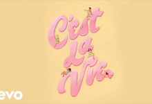 C’est La Vie Lyrics bbno$, Rich Brian, Yung Gravy - Wo Lyrics.jpg