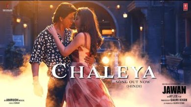 Chaleya (Hindi) Lyrics Arijit Singh, Shilpa Rao - Wo Lyrics