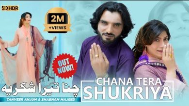 Chana Tera Shukriya Lyrics Shabnam Majeed, Tanveer Anjum - Wo Lyrics