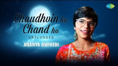 Chaudhvin Ka Chand Ho Lyrics Ananya Dwivedi - Wo Lyrics