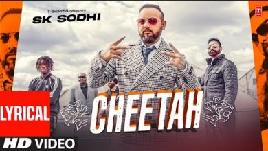 Cheetah Lyrics SK Sodhi - Wo Lyrics