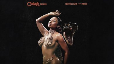 Cobra Rock Remix Lyrics Megan Thee Stallion - Wo Lyrics