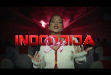 DAJ Lyrics Indodjija, Jovan Jankovic - Wo Lyrics
