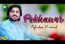 Da Pekhawar Khkoli Lyrics AsfandYar Momand - Wo Lyrics