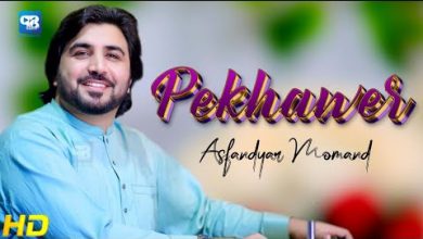 Da Pekhawar Khkoli Lyrics AsfandYar Momand - Wo Lyrics