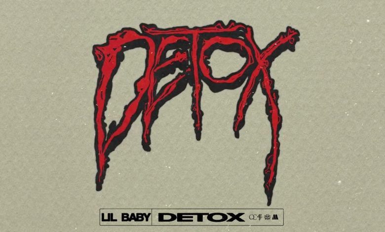 Detox Lyrics Lil Baby Official 4PF - Wo Lyrics.jpg