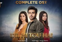 Dil Hi Tou Hai OST Lyrics Hassan Hayat Khan, Yashal Shahid - Wo Lyrics