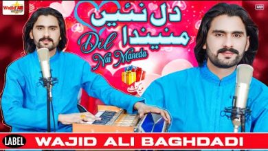 Dil Nai Manenda Lyrics Wajid Ali Baghdadi - Wo Lyrics