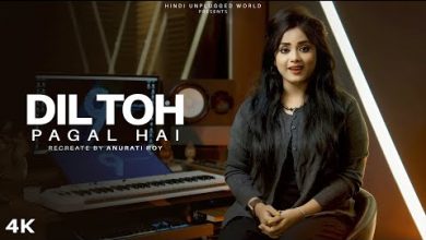 Dil Toh Pagal Hai(Cover ) Lyrics Anurati Roy - Wo Lyrics