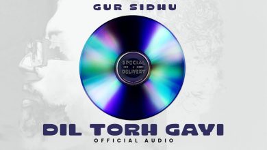 Dil Torh Gayi Lyrics Gur Sidhu - Wo Lyrics