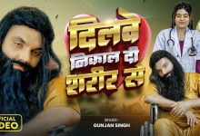 Dilwe Nikal Di Sharir Se Lyrics Gunjan Singh - Wo Lyrics