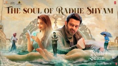 The Soul of Radhe Shyam