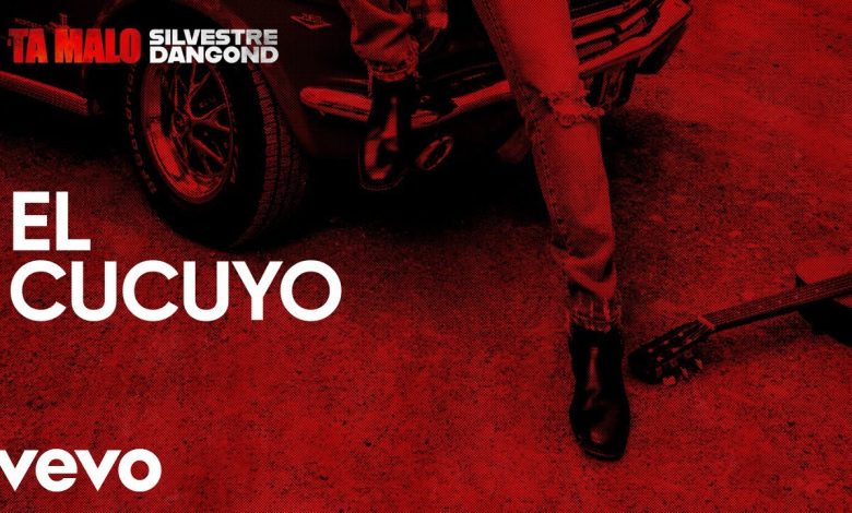 EL COCUYO Lyrics Silvestre Dangond - Wo Lyrics