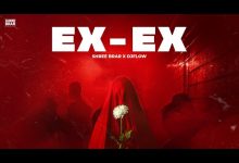 EX X