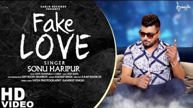 Fake Love Lyrics Sonu Haripur - Wo Lyrics