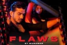 Flaws Lyrics Munawar Faruqui - Wo Lyrics.jpg