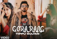 GORA RANG Lyrics Tippu Sultan - Wo Lyrics.jpg