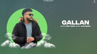 Gallan Lyrics Meet Singh - Wo Lyrics