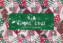 Gimme Love Lyrics Sia - Wo Lyrics