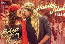 Habibi Jilebi Lyrics Rahul Sipligunj - Wo Lyrics