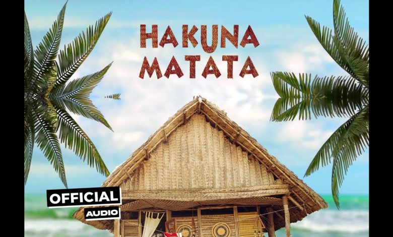 Hakuna Matata Visualiser