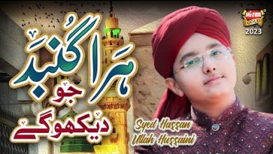 Hara Gumbad Jo Dekhoge Lyrics Syed Hassan Ullah Hussaini - Wo Lyrics