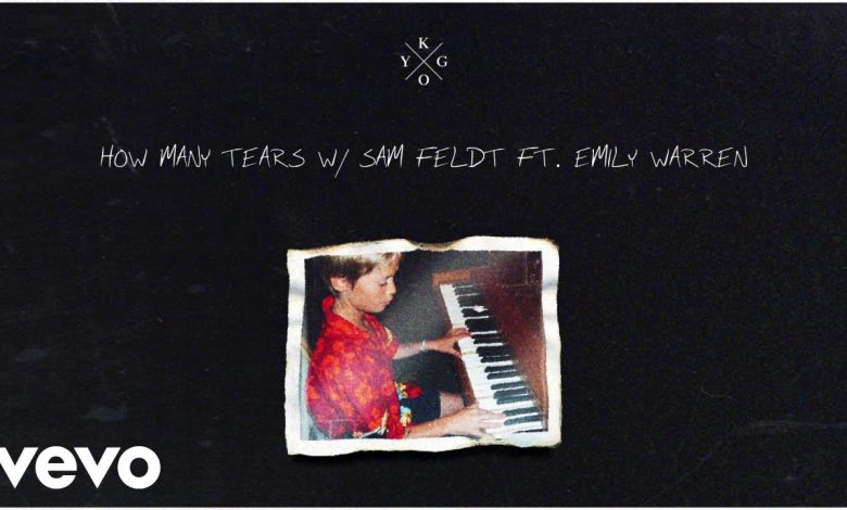 How Many Tears Lyrics Kygo, Sam Feldt - Wo Lyrics.jpg