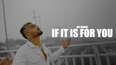 If it is for you Lyrics MC Insane | The Heal Album - Wo Lyrics