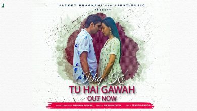 Ishq Ki Tu Hai Gawah Lyrics Anubhav Dutta - Wo Lyrics