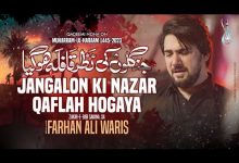 Jangalo Ki Nazar Qafla Hogaya noha Lyrics Farhan Ali Waris - Wo Lyrics