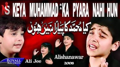Kiya Muhammad Ka Pyara Nahi Hun Noha Lyrics Ali Jee, Ali Shanawar - Wo Lyrics