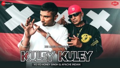 Kuley Kuley Lyrics Apache Indian, Yo Yo Honey Singh - Wo Lyrics
