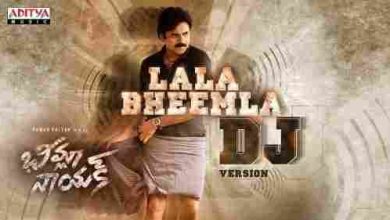 Lala Bheemla DJ Version