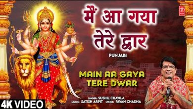 Main Aa Gaya Tere Dwar Lyrics Sushil Chawla - Wo Lyrics