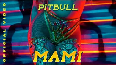 Mami Lyrics Pitbull - Wo Lyrics