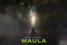 Maula Lyrics KSHMR, Munawar Faruqui - Wo Lyrics