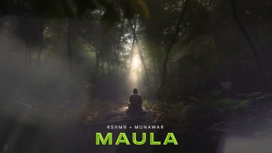 Maula Lyrics KSHMR, Munawar Faruqui - Wo Lyrics