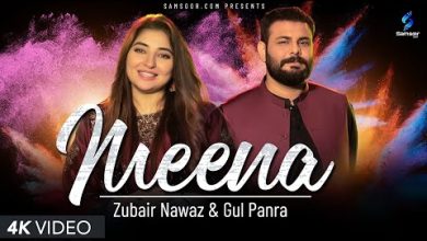 Meena Lyrics Gul Panra, Zubair Nawaz - Wo Lyrics