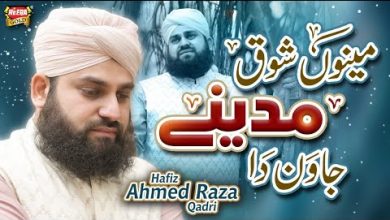 Menu Shoq Madine Jawan Da Lyrics Hafiz Ahmed Raza Qadri - Wo Lyrics