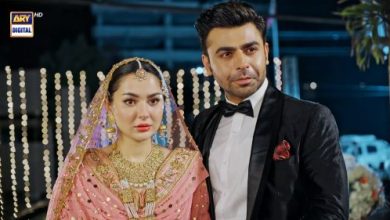 Mere HumSafar Extended OST